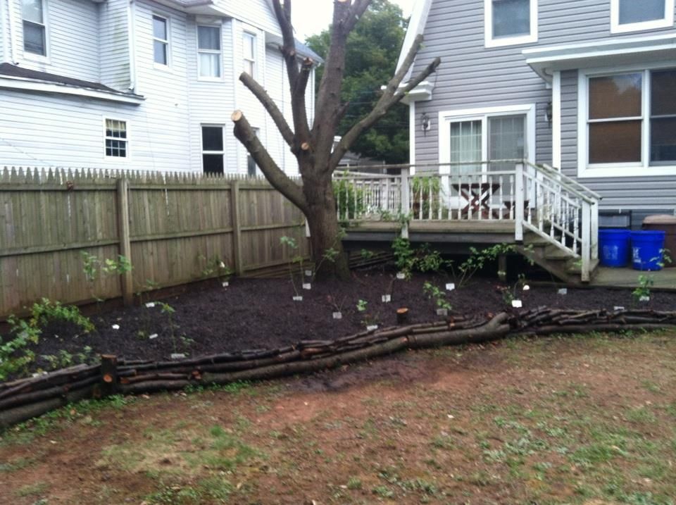 photo 1382967_10151706668757285_231086445_n.jpg